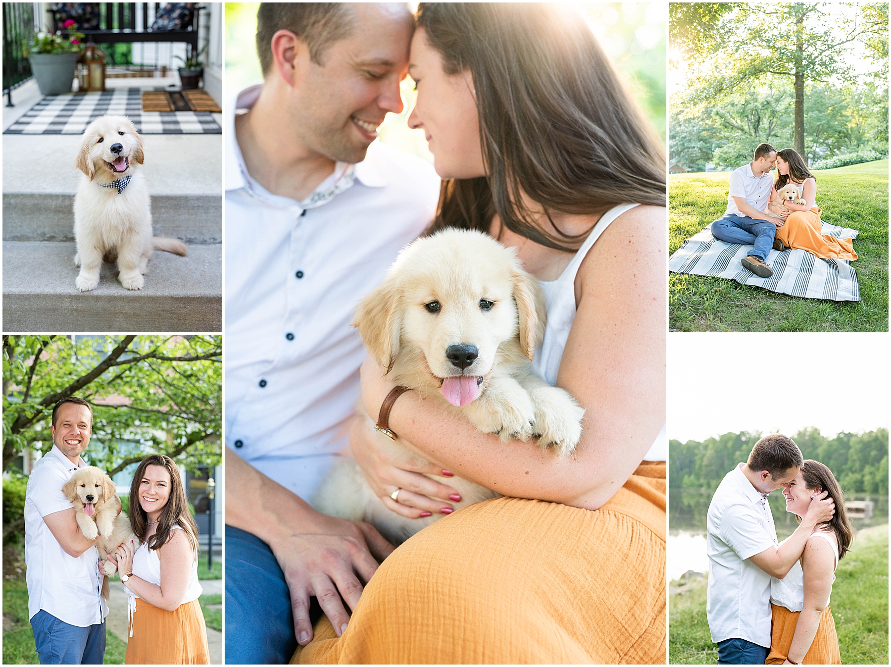 New Puppy Photo Session in Northern Virginia