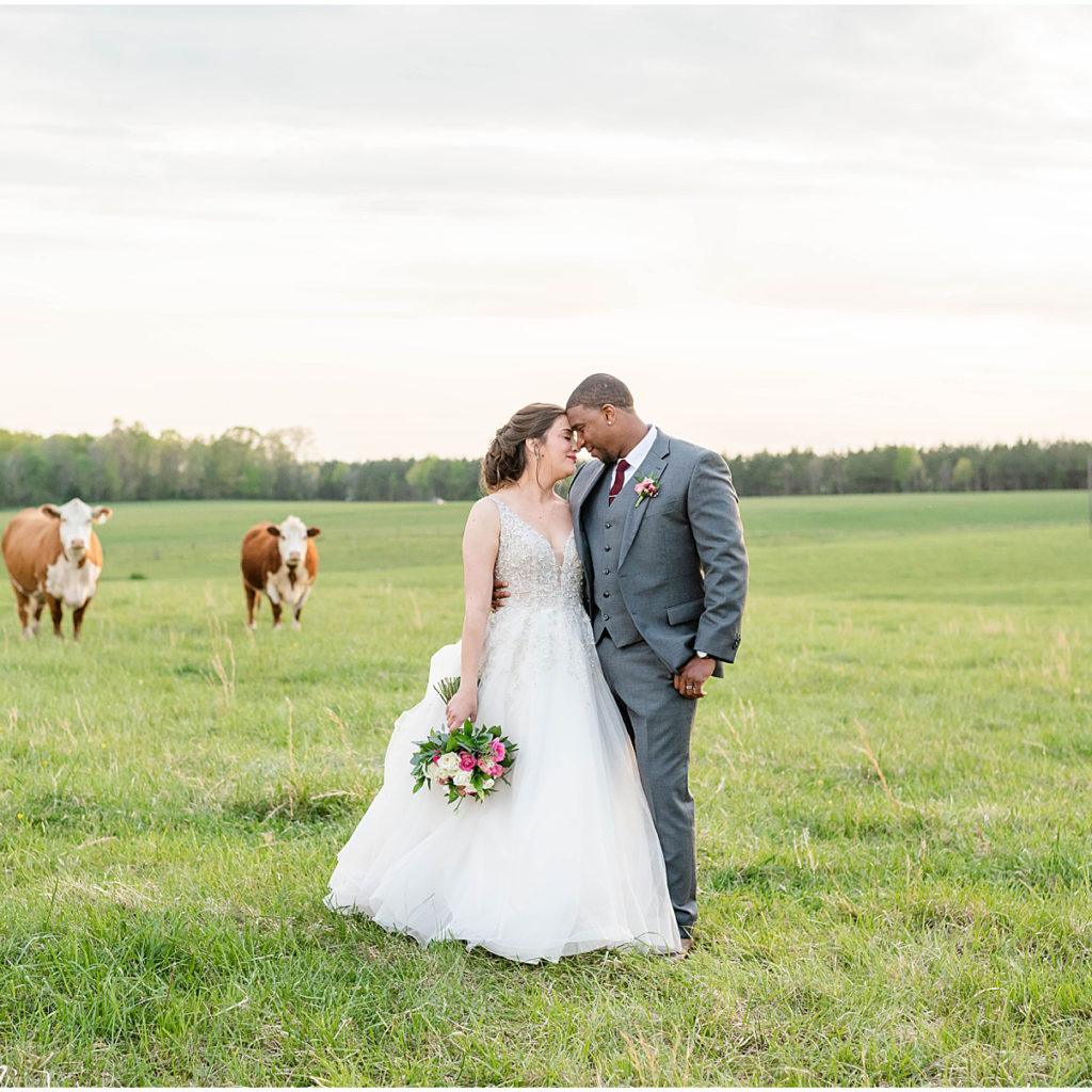 Oak Creek Farm Wedding Unionville VA 
