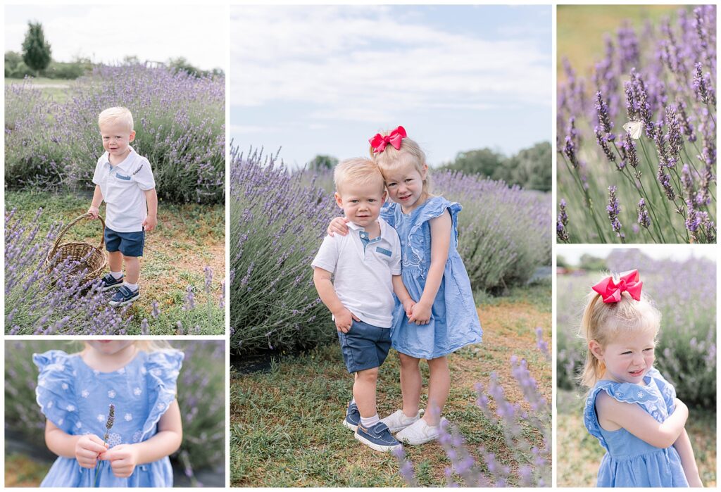 Seven Oaks Lavender Farm Family Photos