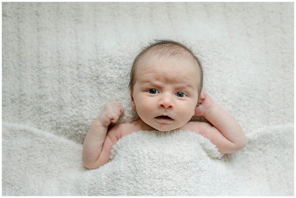 McLean Virginia Newborn Photos